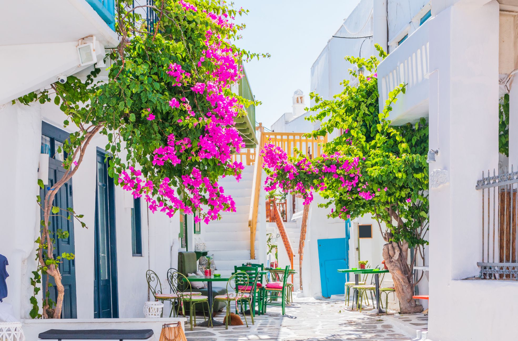 Flowers In A Street In Greece