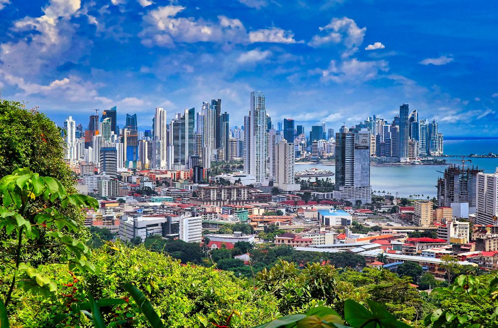 Cityscape With Trees In Panama